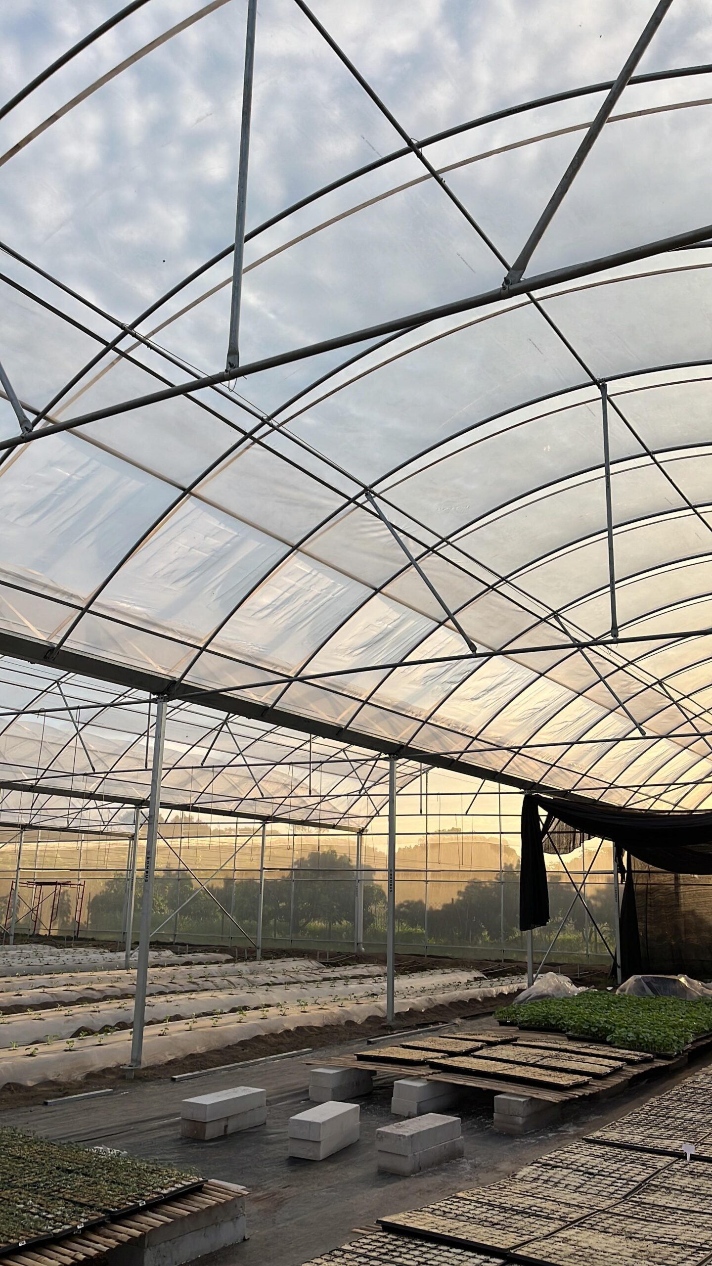 gambar green house 3